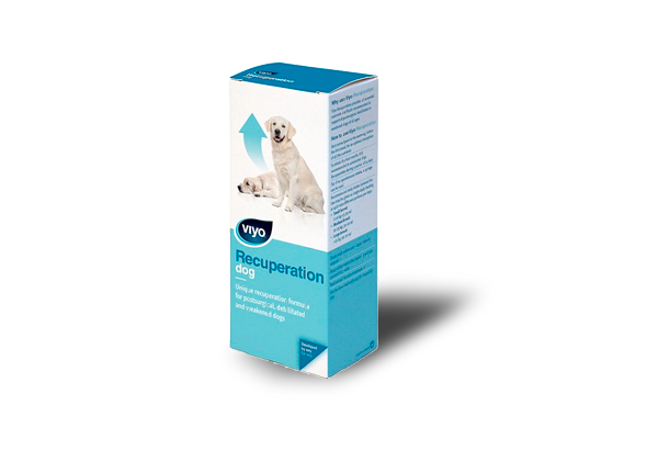 Viyo International